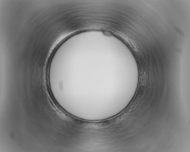 X0000115781086200912111122