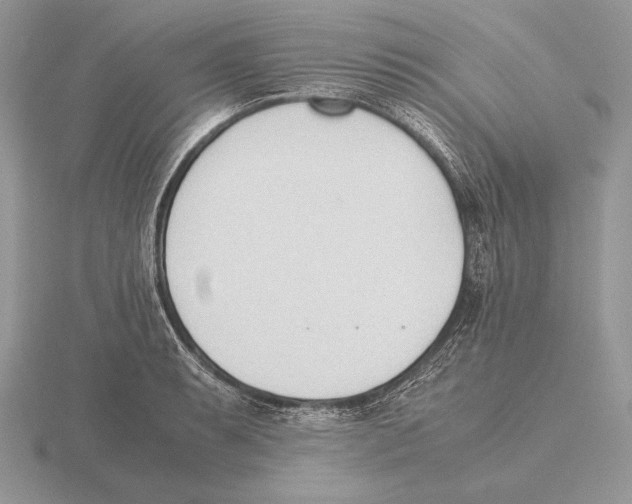 X0000115781087200912111122