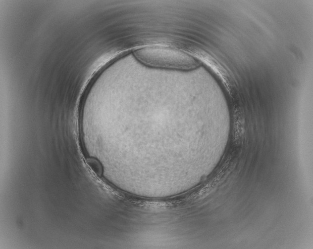 X0000115781088200912111122