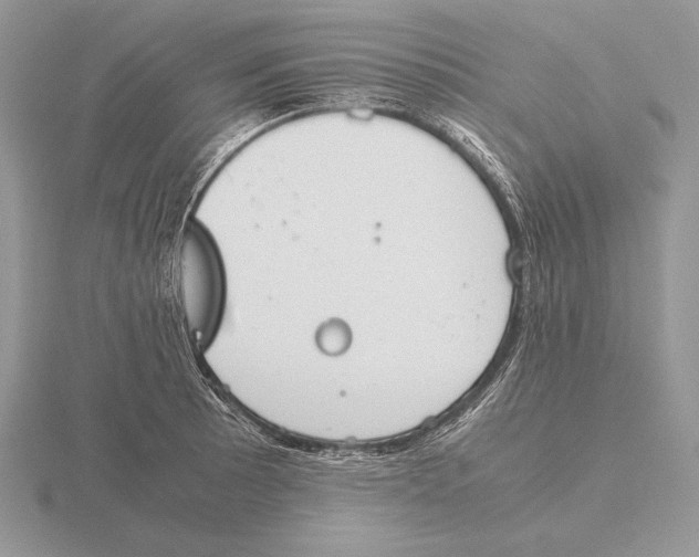 X0000115781089200912111122