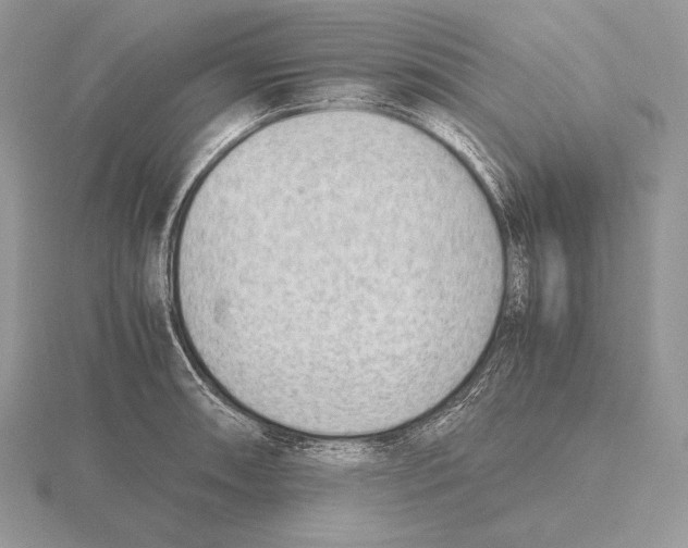 X0000115781090200912111122