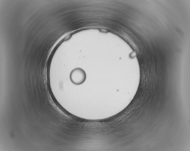 X0000115781092200912111122