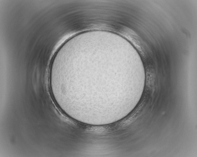 X0000115781094200912111122