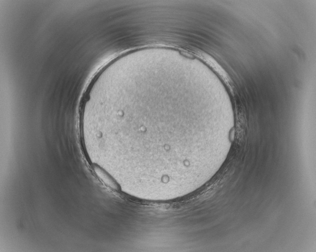 X0000115781096200912111122