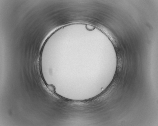 X0000115781100200912111122