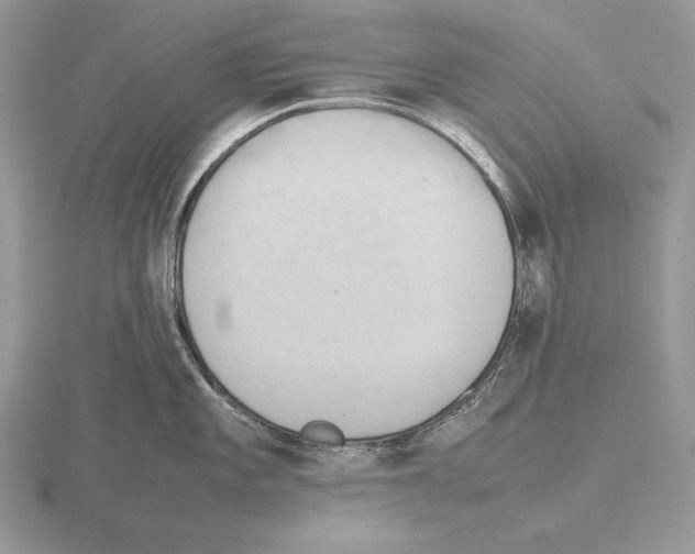 X0000115781101200912111122