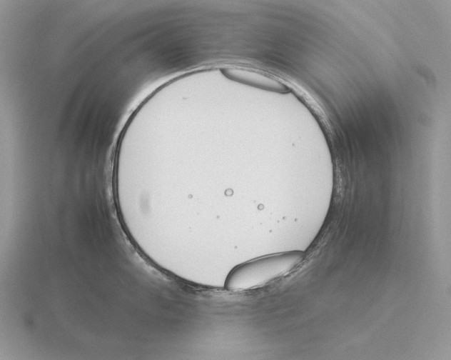 X0000115781102200912111122