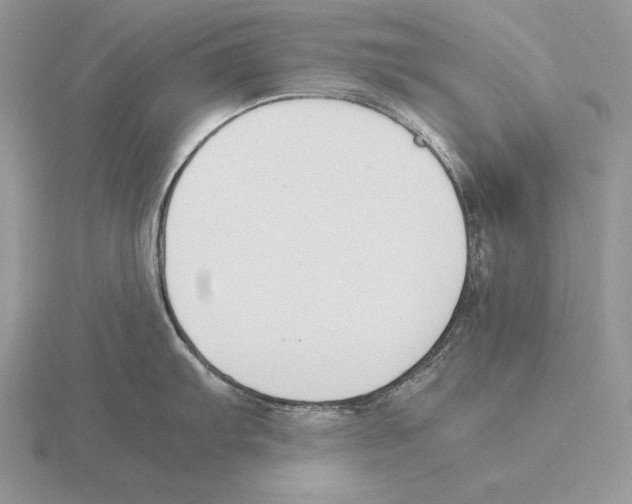 X0000115781103200912111122