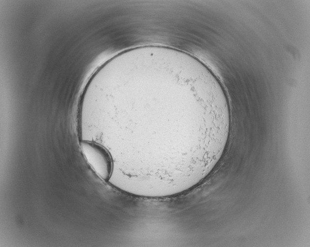 X0000115781104200912111122