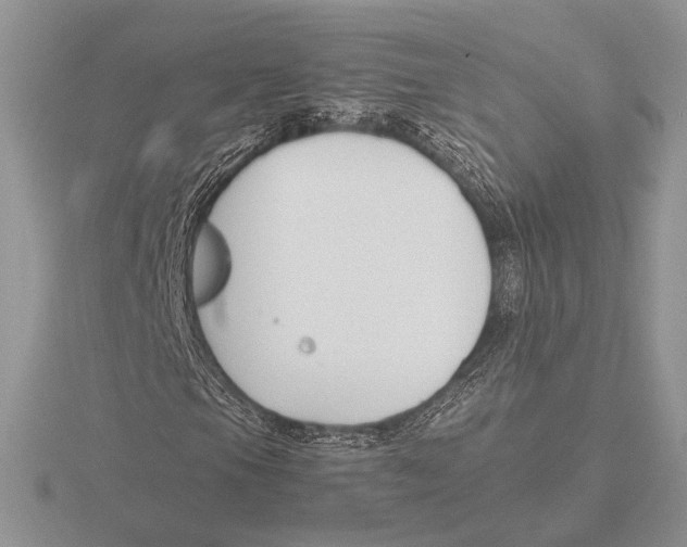 X0000115781105200912111121