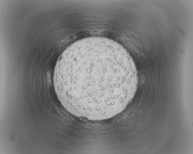 X0000115781106200912111121