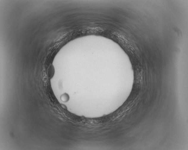 X0000115781109200912111121