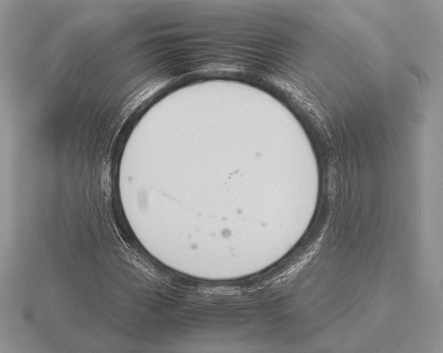 X0000115781113200912111121