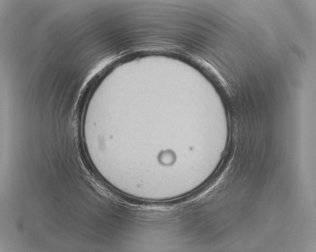 X0000115781114200912111121