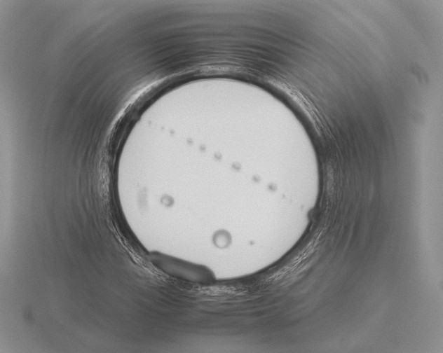 X0000115781115200912111121