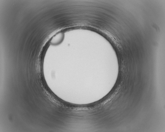 X0000115781118200912111121