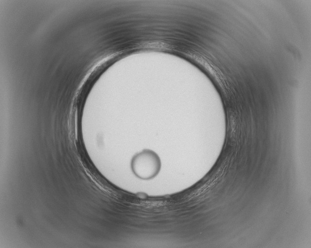 X0000115781123200912111121