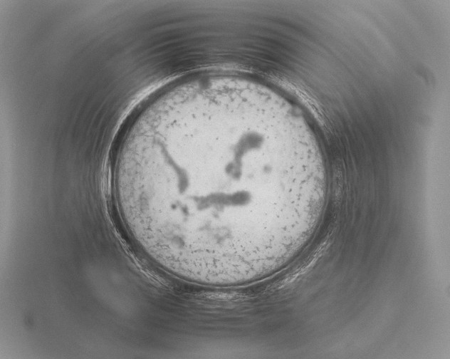 X0000115781125200912111122