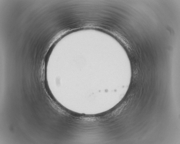 X0000115781126200912111122