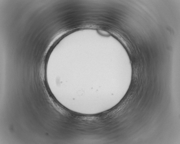 X0000115781131200912111122