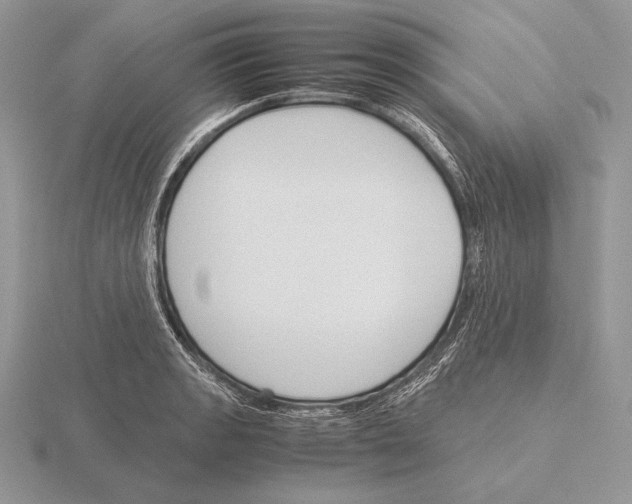 X0000115781133200912111122