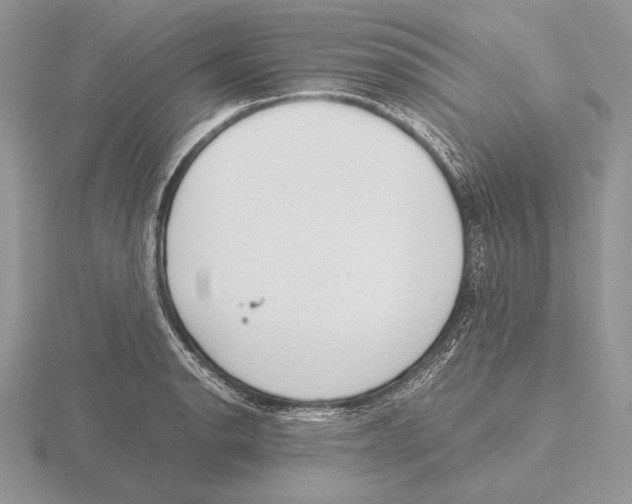 X0000115781134200912111122