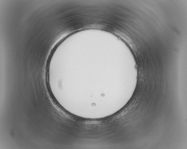 X0000115781135200912111122