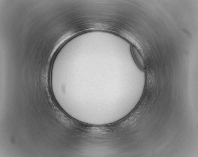 X0000115781138200912111122