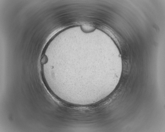 X0000115781141200912111122