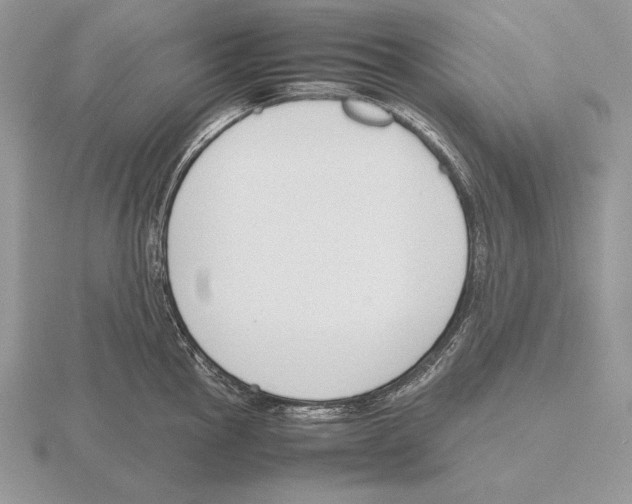 X0000115781145200912111122