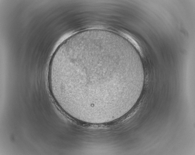 X0000115781146200912111122