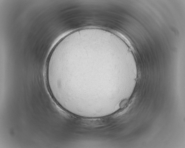 X0000115781149200912111122