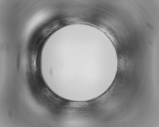 X0000115781150200912111122