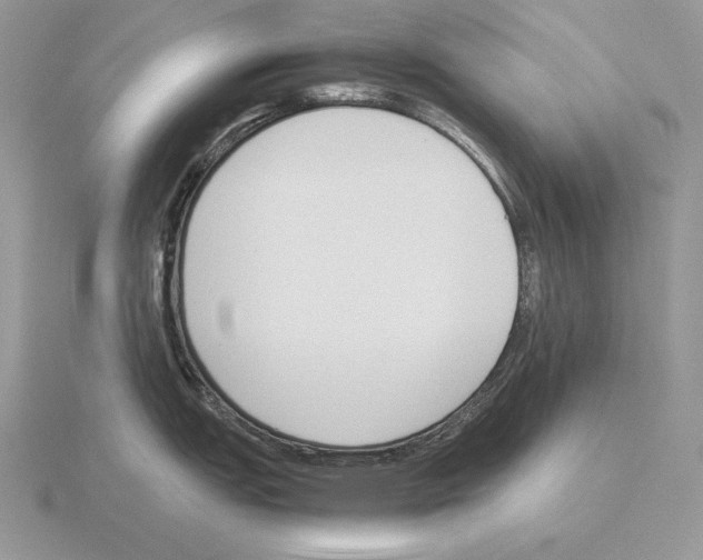 X0000115781151200912111122