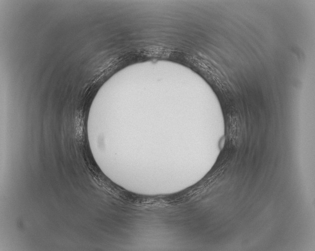 X0000115781154200912111121