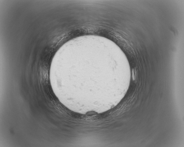 X0000115781155200912111121