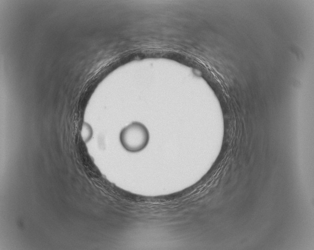 X0000115781157200912111121