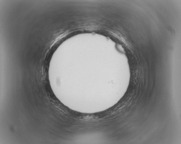 X0000115781160200912111121