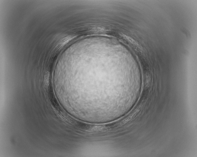 X0000115781161200912111121