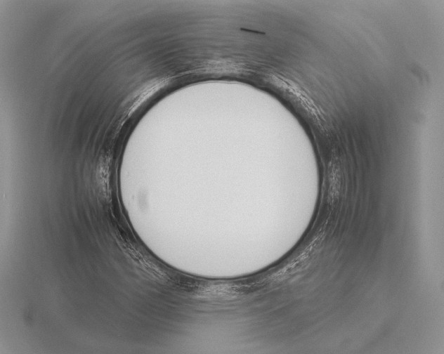 X0000115781162200912111121