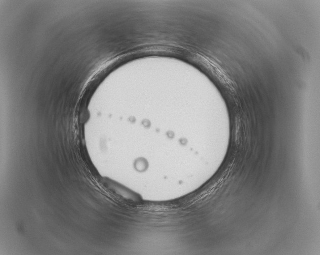 X0000115781164200912111121