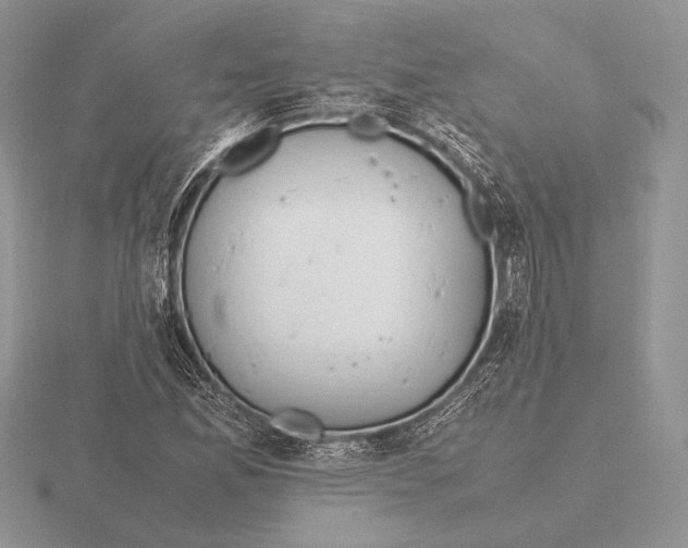 X0000115781165200912111121