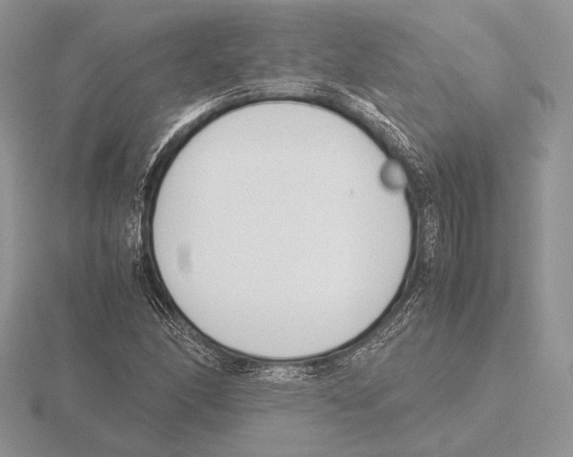 X0000115781166200912111121