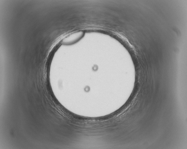 X0000115781167200912111121