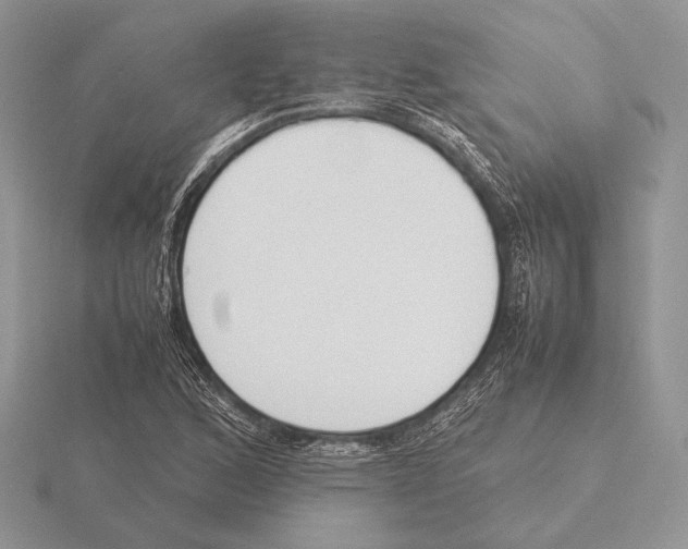 X0000115781168200912111121