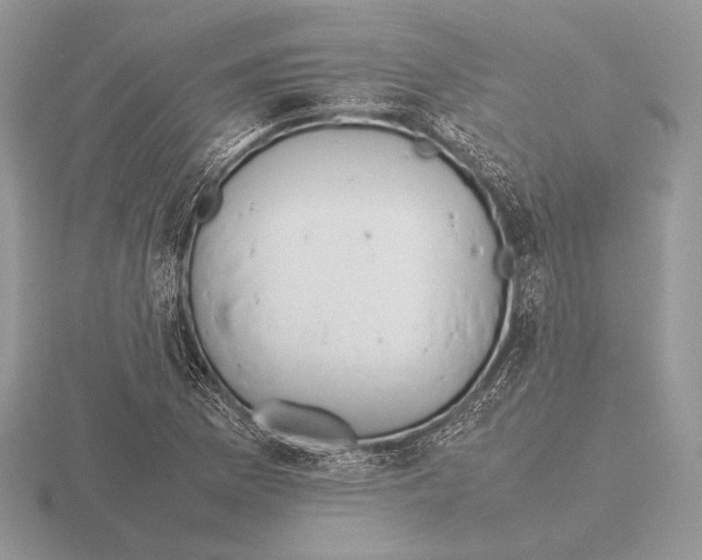 X0000115781169200912111121