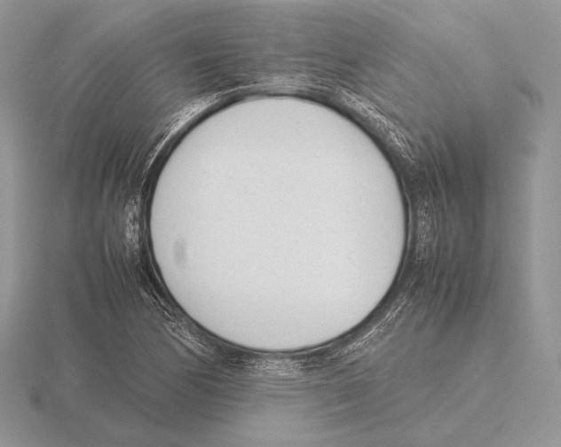 X0000115781170200912111121