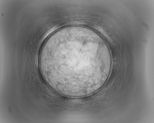 X0000115781173200912111121