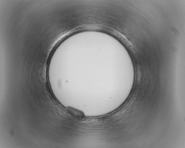 X0000115781174200912111121