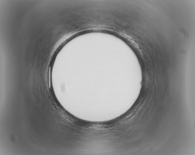 X0000115781175200912111121